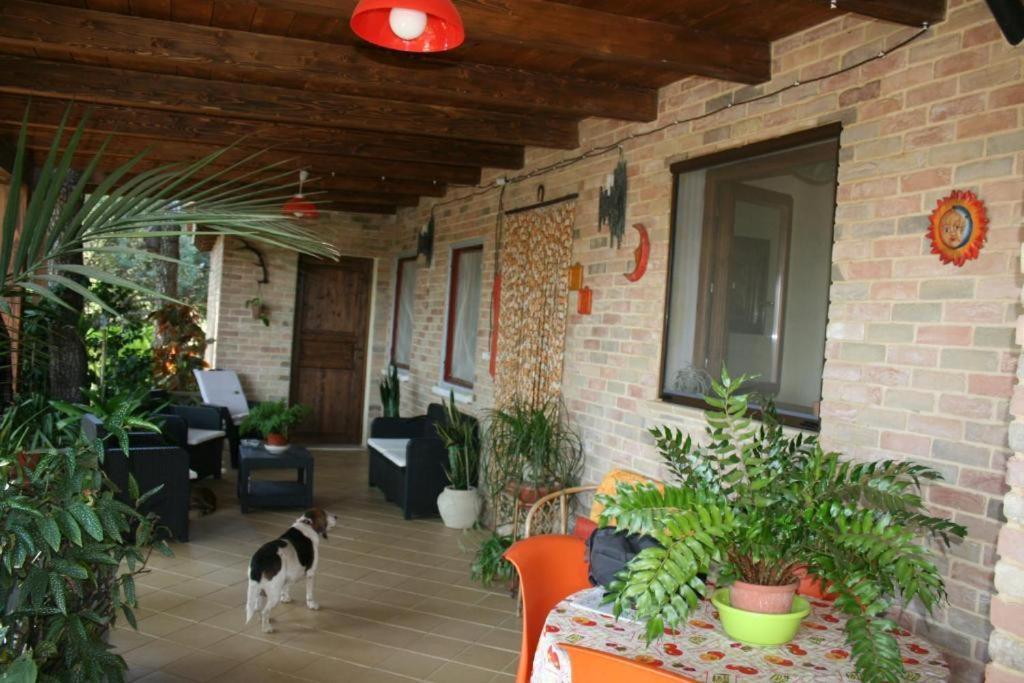 Casa Campagna Otel Castiadas Dış mekan fotoğraf